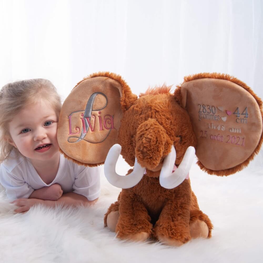 Doudou Personnalisé Ours - Cadeau Personnalisé Naissance - Cadeau Bebe  Personnalisable