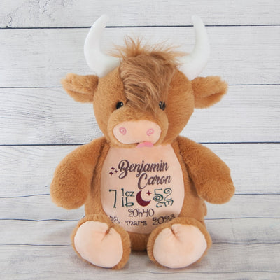 Casselman the Highland cow