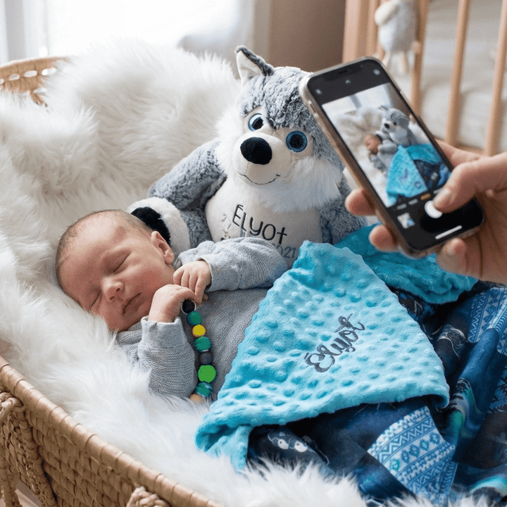 Lil' Explorer - bundle