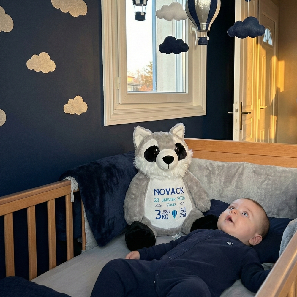 cadeau toutou raton laveur