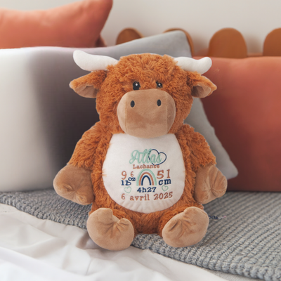 vache highland toutou naissance