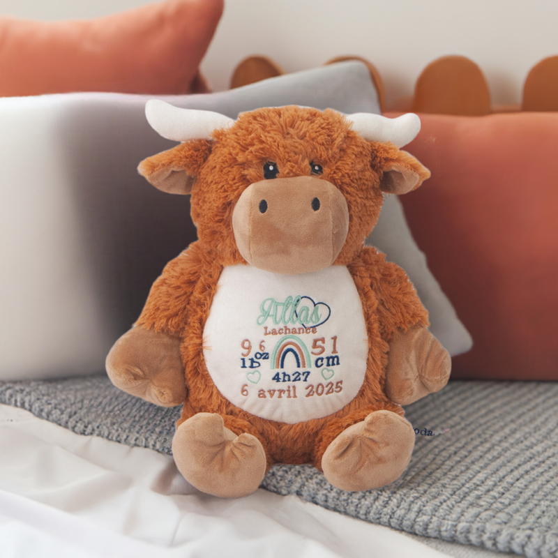 vache highland toutou naissance