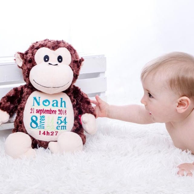 Monkey with birth information 
