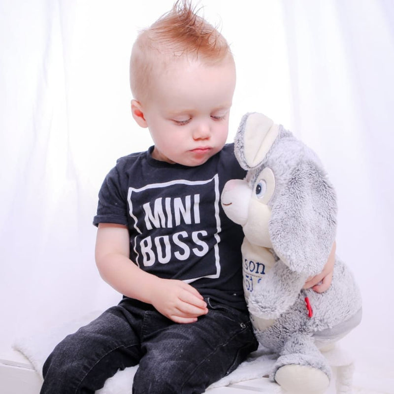 Plush bunny personalized - toutou lapin personnalisé